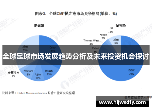 全球足球市场发展趋势分析及未来投资机会探讨